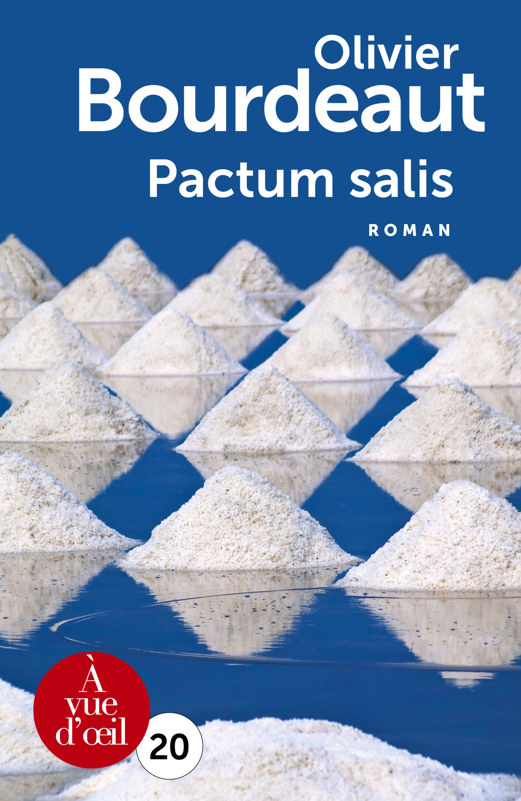 Pactum Salis D'Olivier Bourdeaut