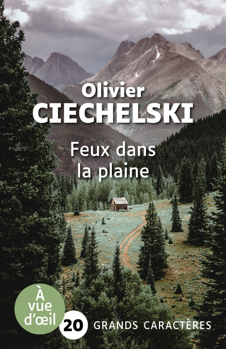 Couverture de l'ouvrage Feux dans la plaine de Olivier Ciechelski